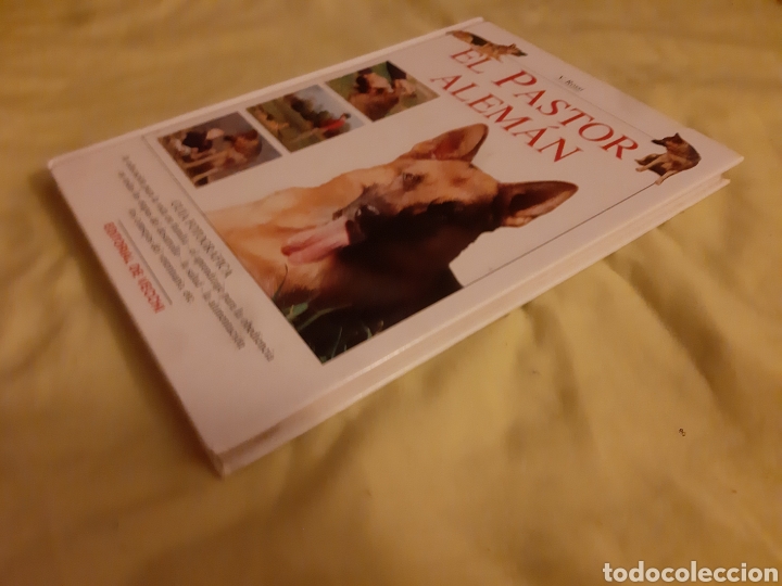 Libros: Libro El Pastor Alem&aacute;n - Foto 4