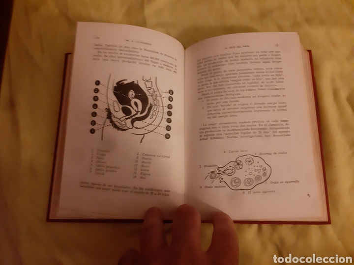 Libros: Libro El Arte del Amor -Dr. Willi Feyerabend- - Foto 8