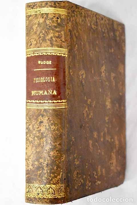 Libros: Compendio de Fisiolog&iacute;a humana.- Budge, Julius - Foto 1