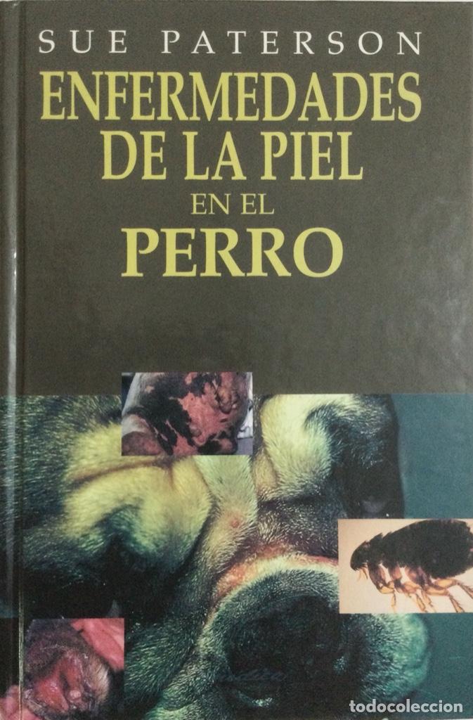 Libros: Enfermedades de la piel en el perro. Paterson. NUEVO - Foto 1