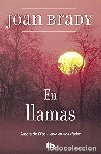 Libros: En llamas - Brady, Joan - Foto 1