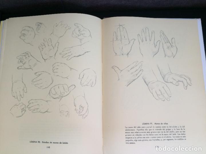 Libros: DIBUJO DE CABEZA Y MANOS. ANDREW LOOMIS. - Foto 9