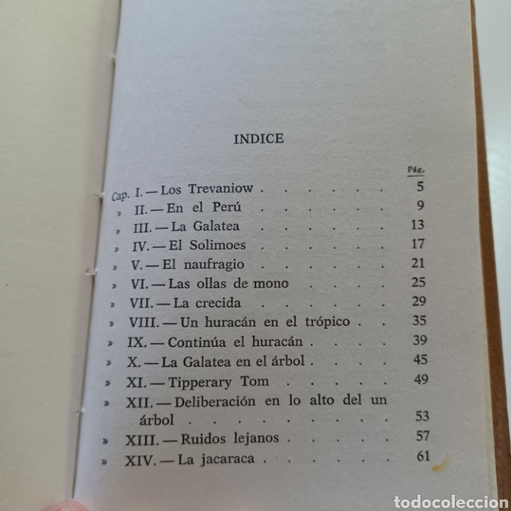 Libros: LOS NAUFRAGOS DE LA SELVA - MAYNE REID - Foto 5