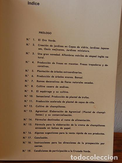 Libros: ORO VERDE - ANTONIO JOS&Eacute; ALBAS - Foto 2