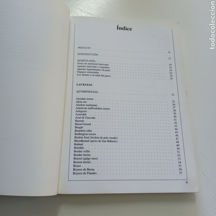 Libros: GRAN GUIA ILUSTRADA DE LOS PERROS 1994 VALERIA ROSSI - Foto 3