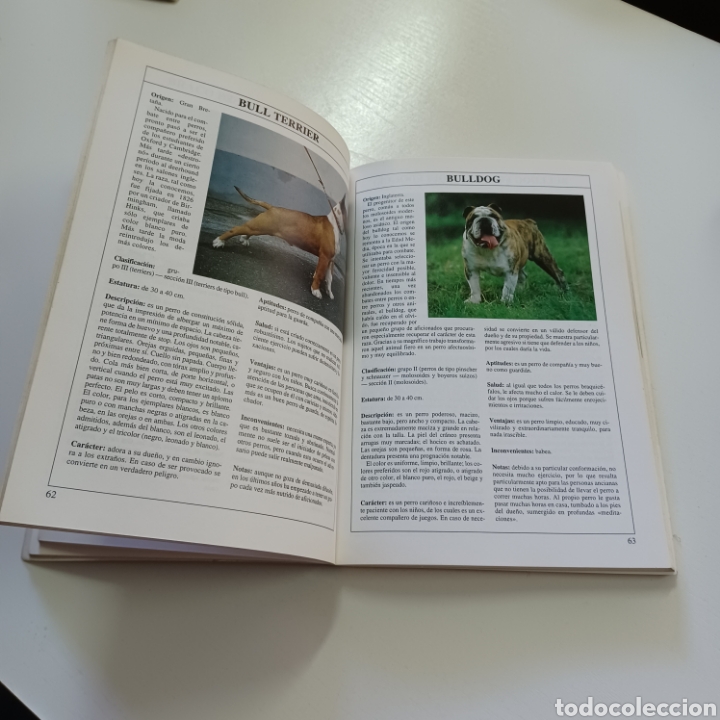 Libros: GRAN GUIA ILUSTRADA DE LOS PERROS 1994 VALERIA ROSSI - Foto 6
