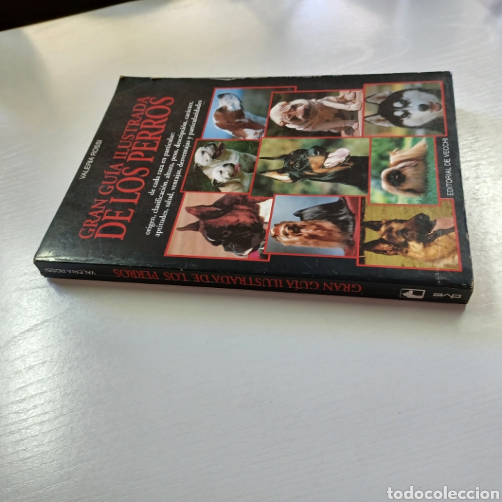 Libros: GRAN GUIA ILUSTRADA DE LOS PERROS 1994 VALERIA ROSSI - Foto 8