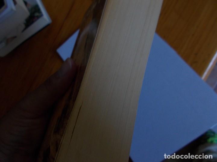 Libros: LA MOMIA - Foto 6