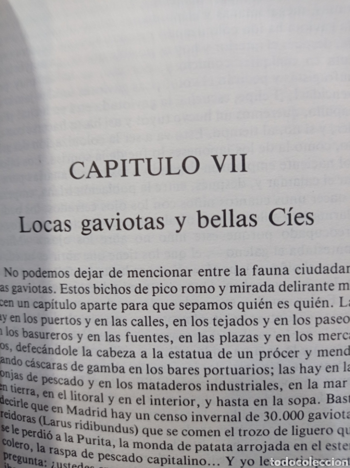 Libros: La llamada de la naturaleza. Jos&eacute; curt. - Foto 4