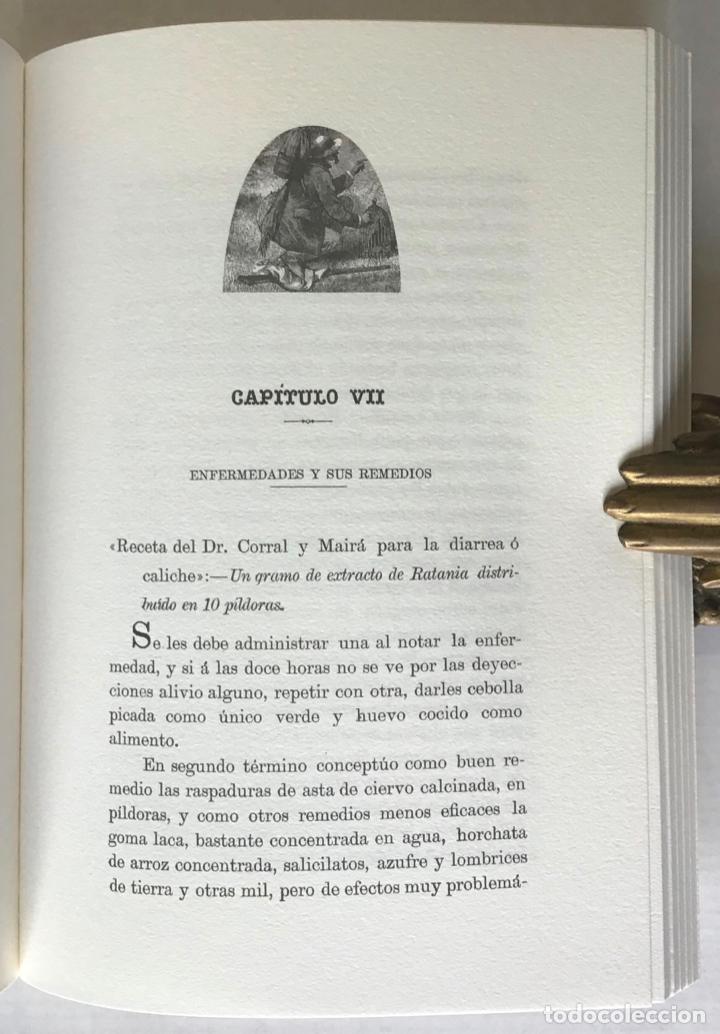 Libros: MANUAL PR&Aacute;CTICO DE LA CAZA DE LA PERDIZ CON RECLAMO. - FRAILE, Gerardo. - Foto 5