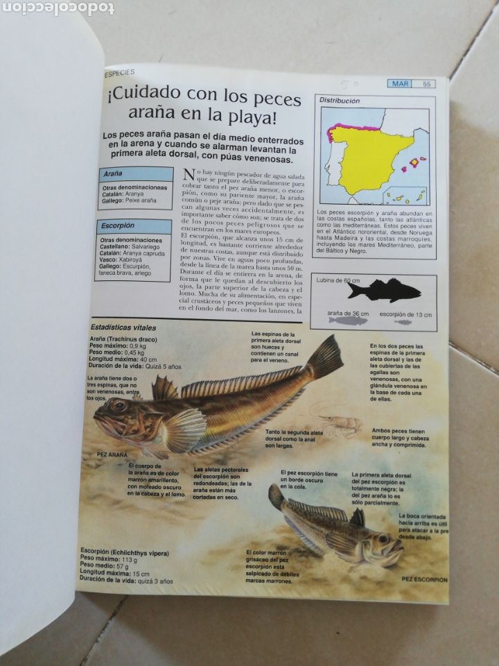 Libros: Gu&iacute;a pr&aacute;ctica de la pesca (tomo 2)planeta de Agostini - Foto 3