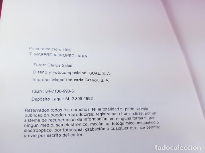 Libros: LIBRO-CONSEJOS &Uacute;TILES SOBRE EL CUIDADO Y MANEJO DEL PERRO-MAPFRE AGRPECUARIA- - Foto 5