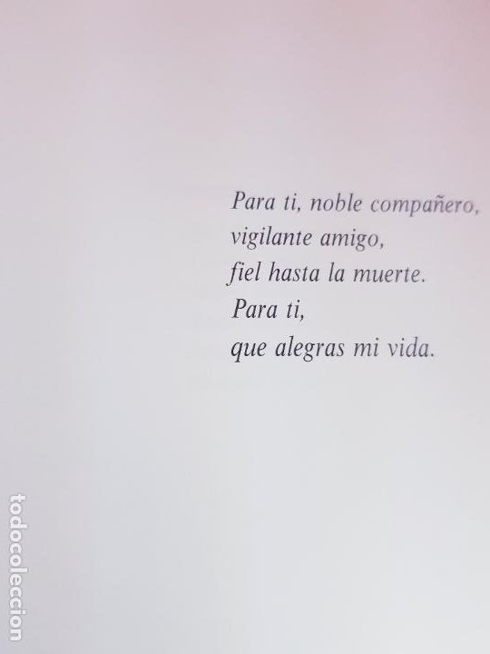 Libros: LIBRO-CONSEJOS &Uacute;TILES SOBRE EL CUIDADO Y MANEJO DEL PERRO-MAPFRE AGRPECUARIA- - Foto 6