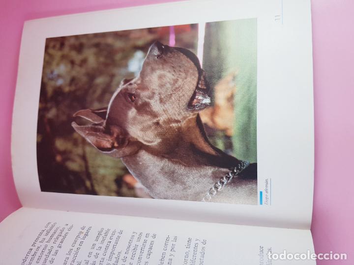 Libros: LIBRO-CONSEJOS &Uacute;TILES SOBRE EL CUIDADO Y MANEJO DEL PERRO-MAPFRE AGRPECUARIA- - Foto 10