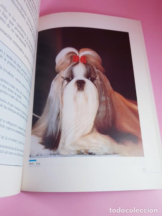 Libros: LIBRO-CONSEJOS &Uacute;TILES SOBRE EL CUIDADO Y MANEJO DEL PERRO-MAPFRE AGRPECUARIA- - Foto 11