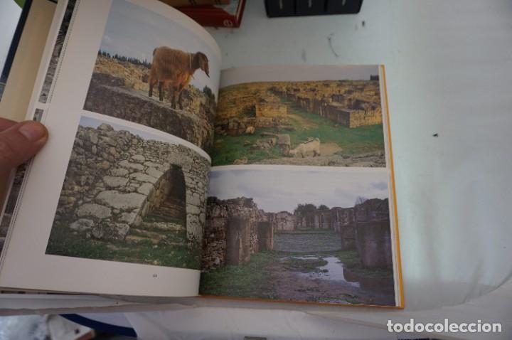Libros: ARR1/ ANTONIO FUSTER - CIUDADES DE ORIENTE PROXIMO / EDICIONES DEL SERBAL - Foto 5