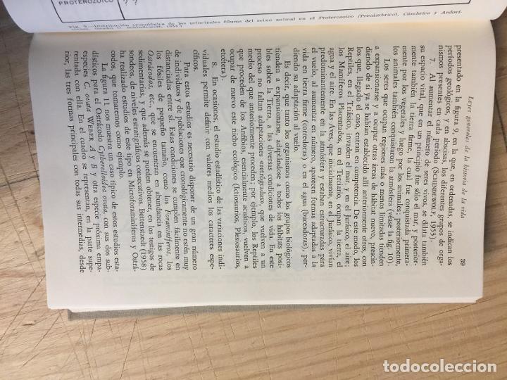 Libros: Origen de la vida y del hombre - Foto 2