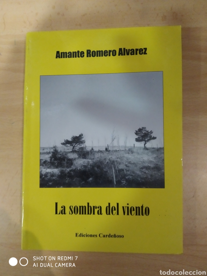 Libros: La sombra del viento. - Foto 1