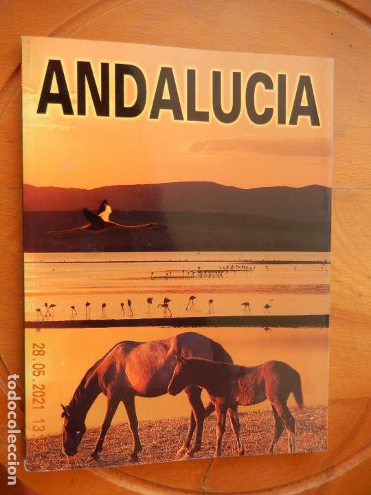 Libros: ANDALUCIA - GUIA TURISTICA , EDICIONES OTERMIN -1993 - Foto 1