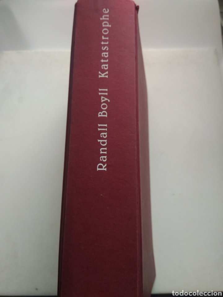 Libros: KATASTROPHE/RANDALL BOYLL - Foto 1