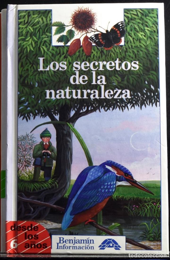 Libros: LOS SECRETOS DE LA NATURALEZA - BOUR, LAURA - Foto 1