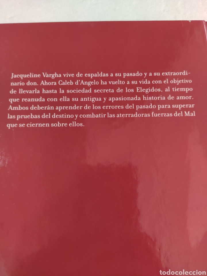 Libros: Tempestad de Visiones. Christina Dodd - Foto 2