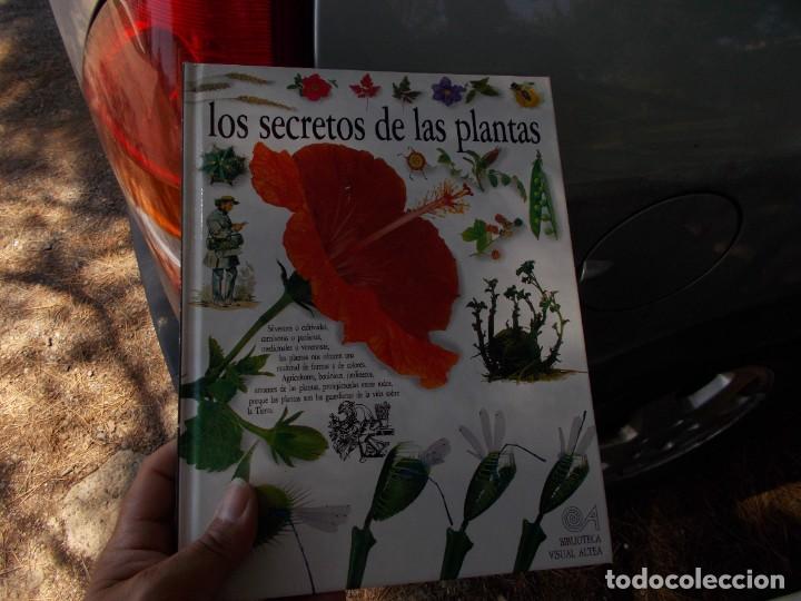 Libros: LOS SECRETOS DE LAS PLANTAS - Foto 1