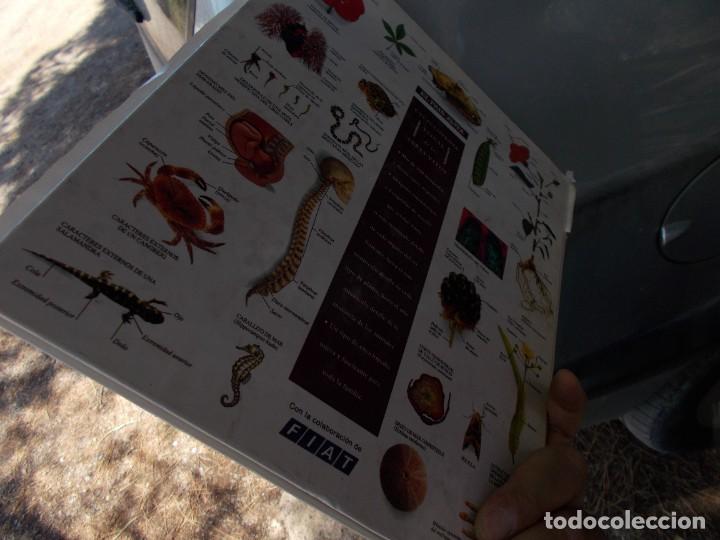 Libros: ENCICLOPEDIA VISUAL DE LOS SERES VIVOS - Foto 3