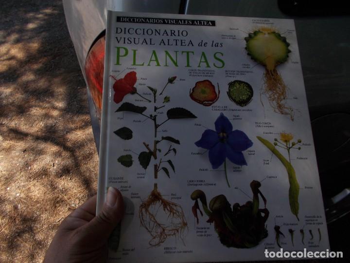 Libros: ENCICLOPEDIA VISUAL DE LOS SERES VIVOS - Foto 4