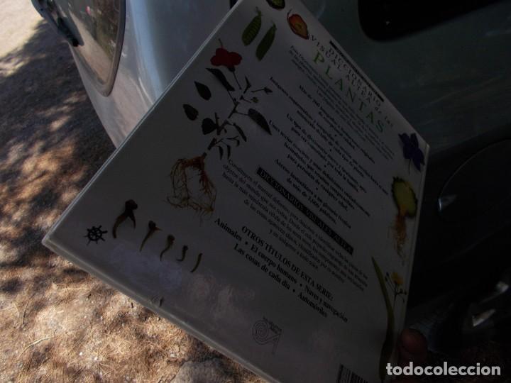 Libros: ENCICLOPEDIA VISUAL DE LOS SERES VIVOS - Foto 6