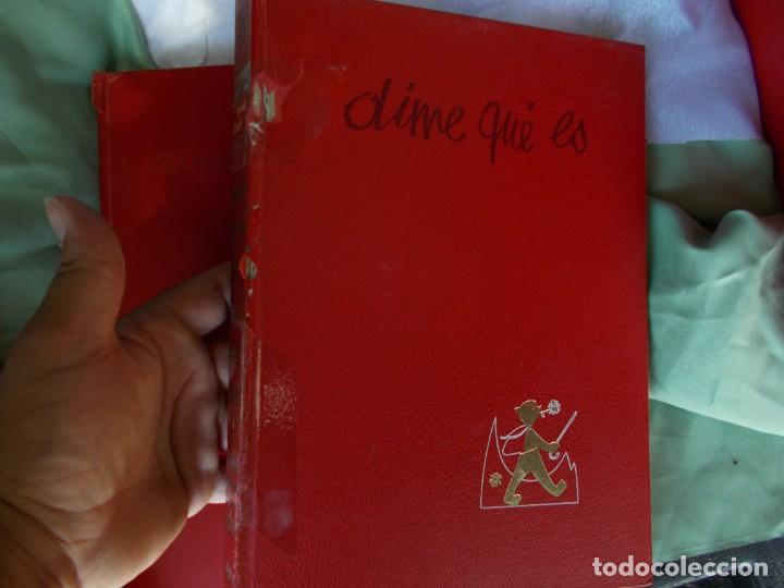 Libros: LOTE DEL 1 AL 6, DE LIBROS DE ENCICLOPEDIAS BASICAS, EDICIONES ARGOS, CON ILUSTRACIONES. - Foto 11