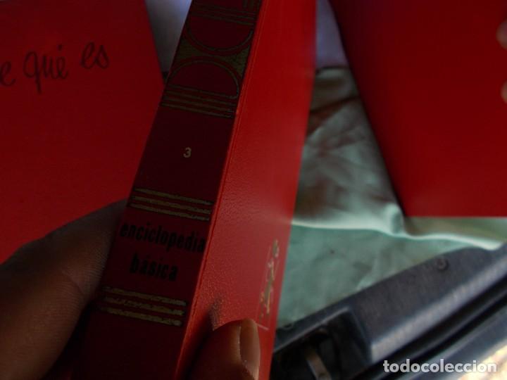 Libros: LOTE DEL 1 AL 6, DE LIBROS DE ENCICLOPEDIAS BASICAS, EDICIONES ARGOS, CON ILUSTRACIONES. - Foto 16