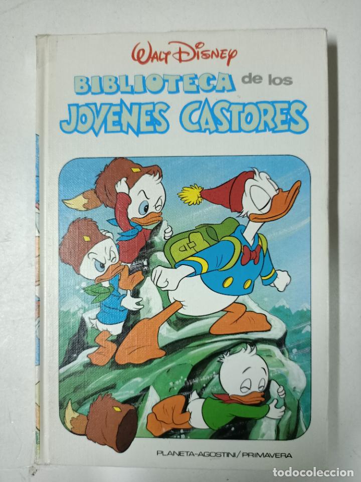 Libros: Biblioteca de los j&oacute;venes castores, 13 / Disney - Foto 1