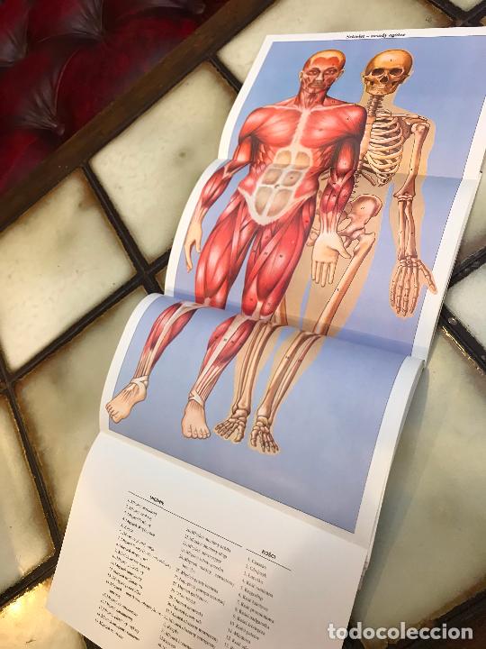 Libros: Anatom&iacute;a Czlowieka. Jos&eacute; M&ordf; Parram&oacute;n. EN POLACO - Foto 5