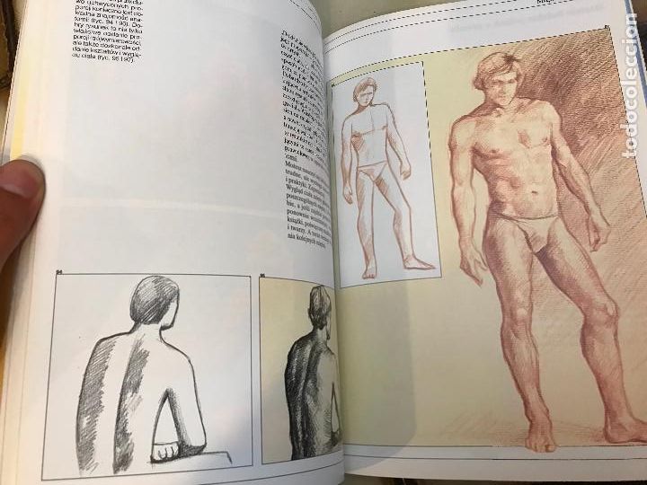 Libros: Anatom&iacute;a Czlowieka. Jos&eacute; M&ordf; Parram&oacute;n. EN POLACO - Foto 6
