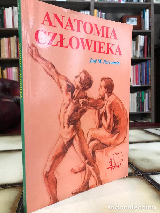 Libros: Anatom&iacute;a Czlowieka. Jos&eacute; M&ordf; Parram&oacute;n. EN POLACO - Foto 1