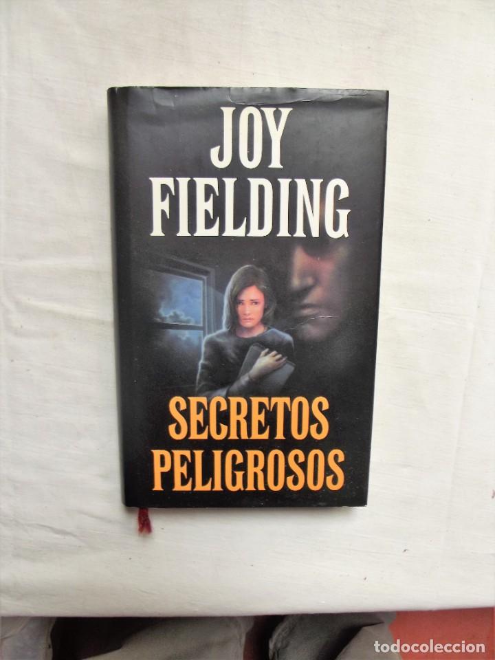 Libros: SECRETOS PELIGROSOS DE JOY FIELDING - Foto 1