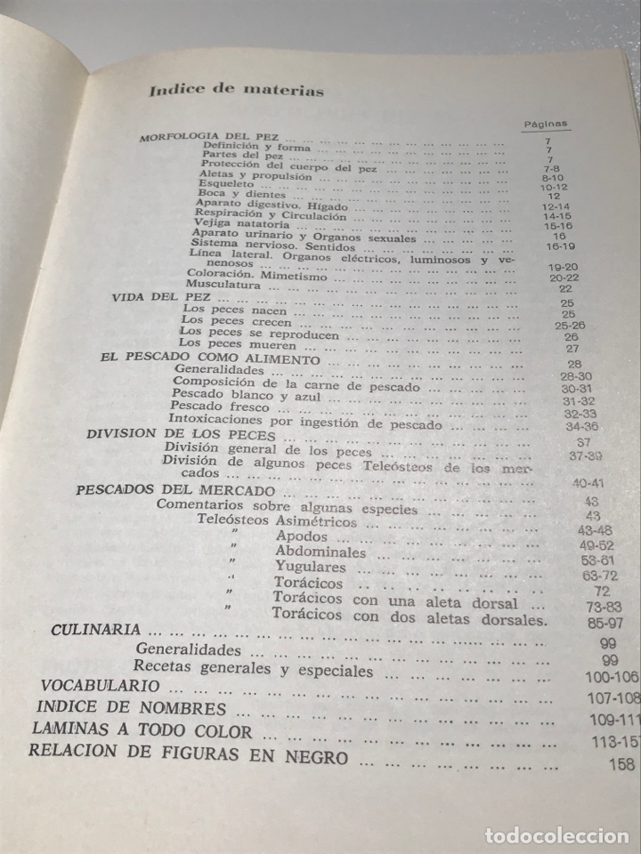 Libros: Pescado blanco y azul Roberto Lotina benguria Ref A - Foto 3