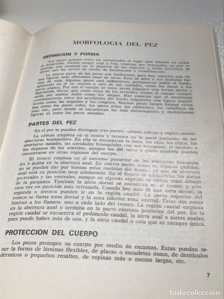 Libros: Pescado blanco y azul Roberto Lotina benguria Ref A - Foto 4