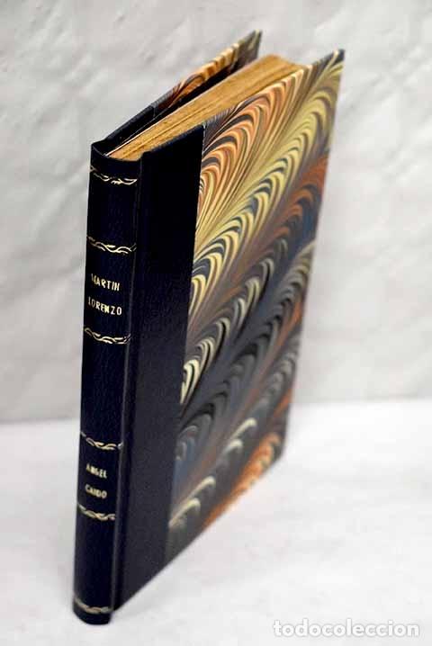 Libros: &Aacute;ngel ca&iacute;do.- Lorenzo Coria, Mart&iacute;n - Foto 1