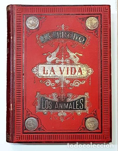 Libros: BREHM, A. E. Dr. - La vida de los animales (6 vols.) - Foto 1
