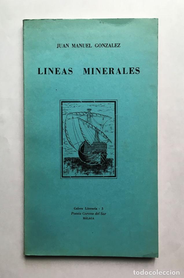Libros: GONZ&Aacute;LEZ, Juan Manuel. - Lineas minerales - Foto 1