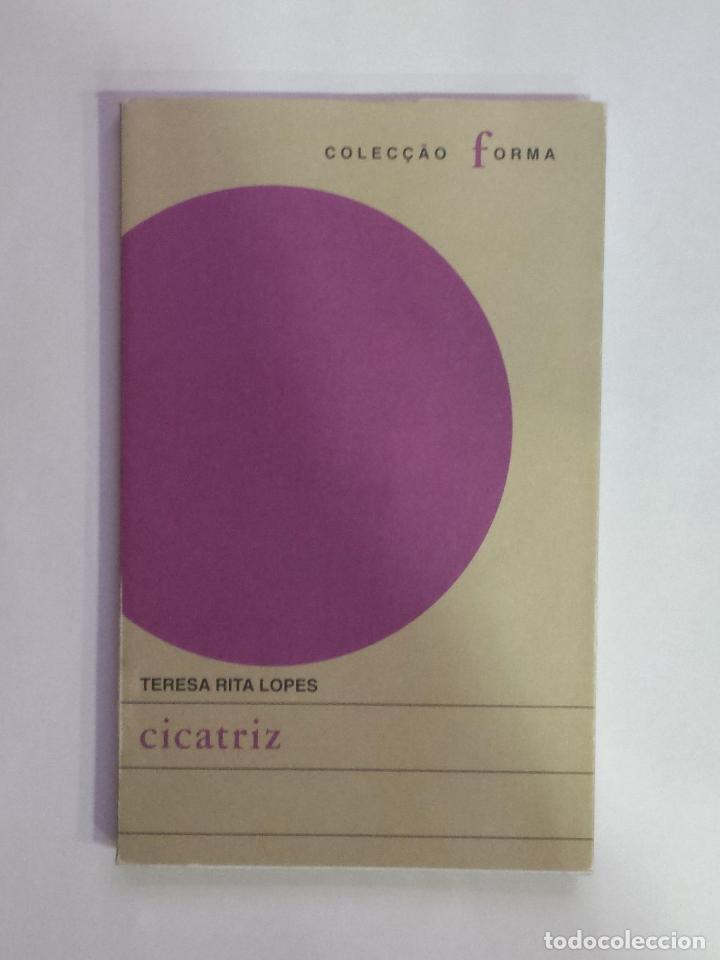 Libros: RITA LOPES, Teresa - Cicatriz - Foto 1