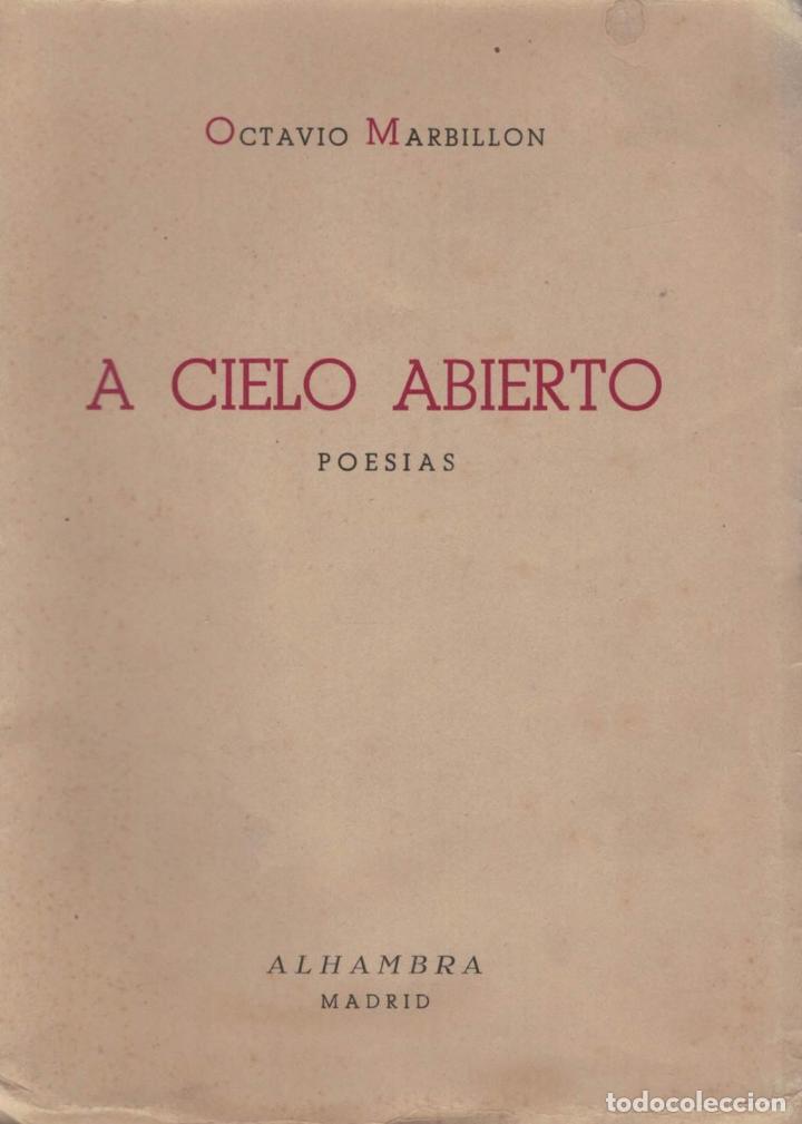 Libros: A Cielo Abierto - Mrbillon, Octavio - Foto 1