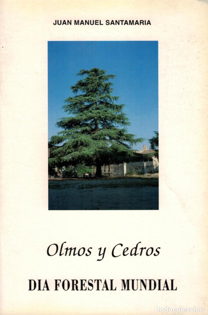 Libros: Olmos y Cedros. - Santamaria. Juan Manuel - Foto 1