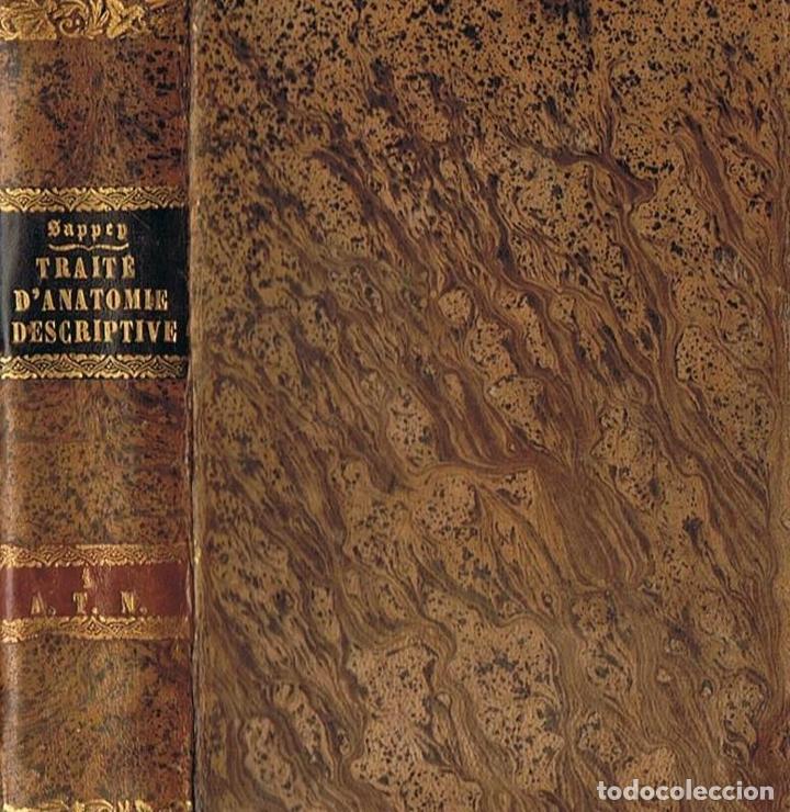 Libros: TRAIT&Eacute; DANATOMIE DESCRIPTIVE. Tome Premier. OST&Eacute;OLOGIE - ARTHROLOGIE - Sappey.  Ph. C., - Foto 2