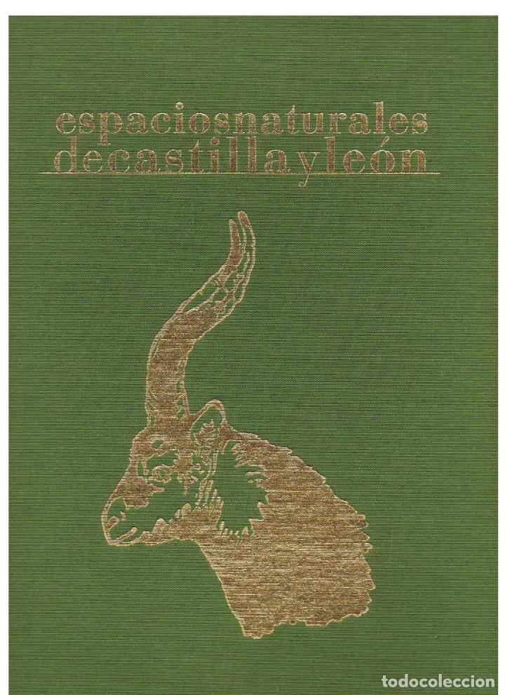 Libros: ESPACIOS NATURALES DE CASTILLA Y LE&Oacute;N - Rodr&iacute;guez.  Jos&eacute; Luis, / E. de Luis Calabuig - Foto 1