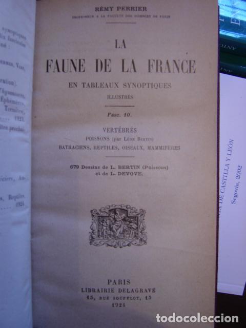 Libros: LA FAUNE DE LA FRANCE EN TABLEAUX SYNOPTIQUES - Perrier. R&eacute;my. - Foto 1