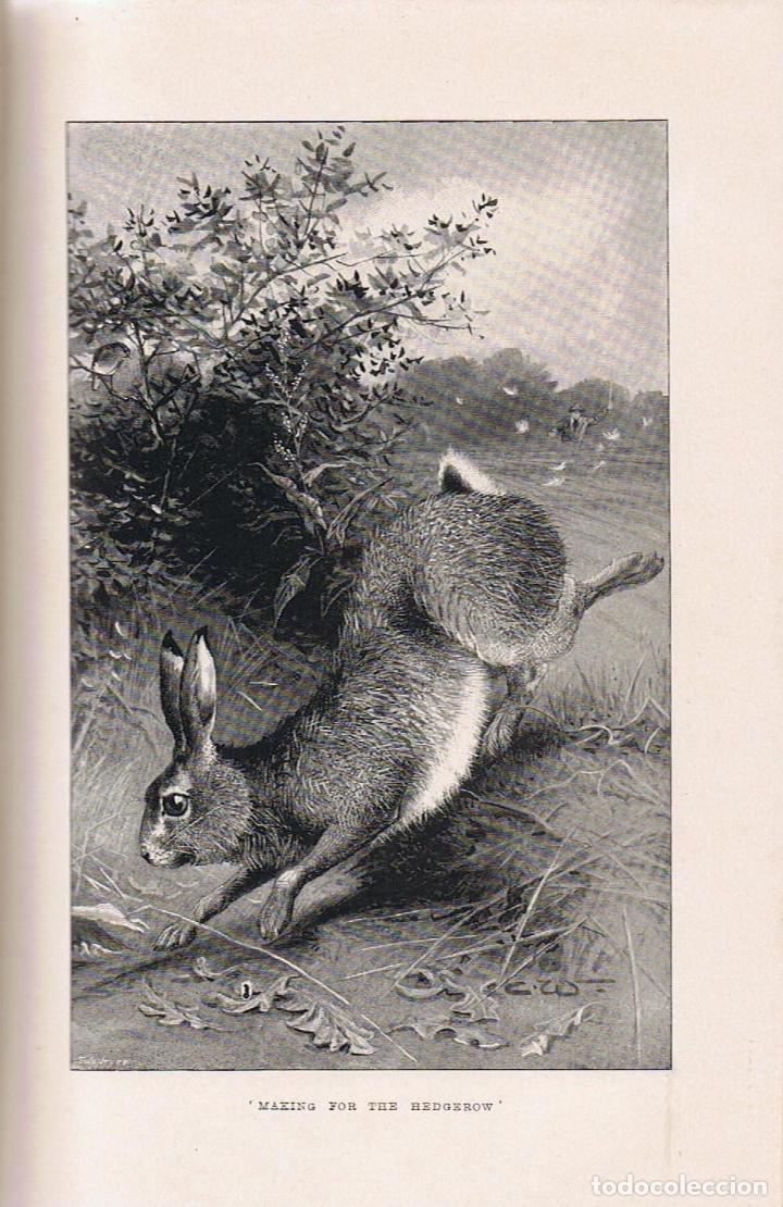 Libros: THE HARE. NATURAL HISTORY. - Macpherson. Rev. H. A. - Foto 2
