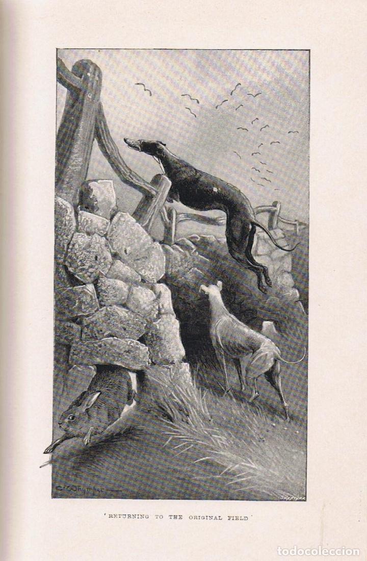 Libros: THE HARE. NATURAL HISTORY. - Macpherson. Rev. H. A. - Foto 3